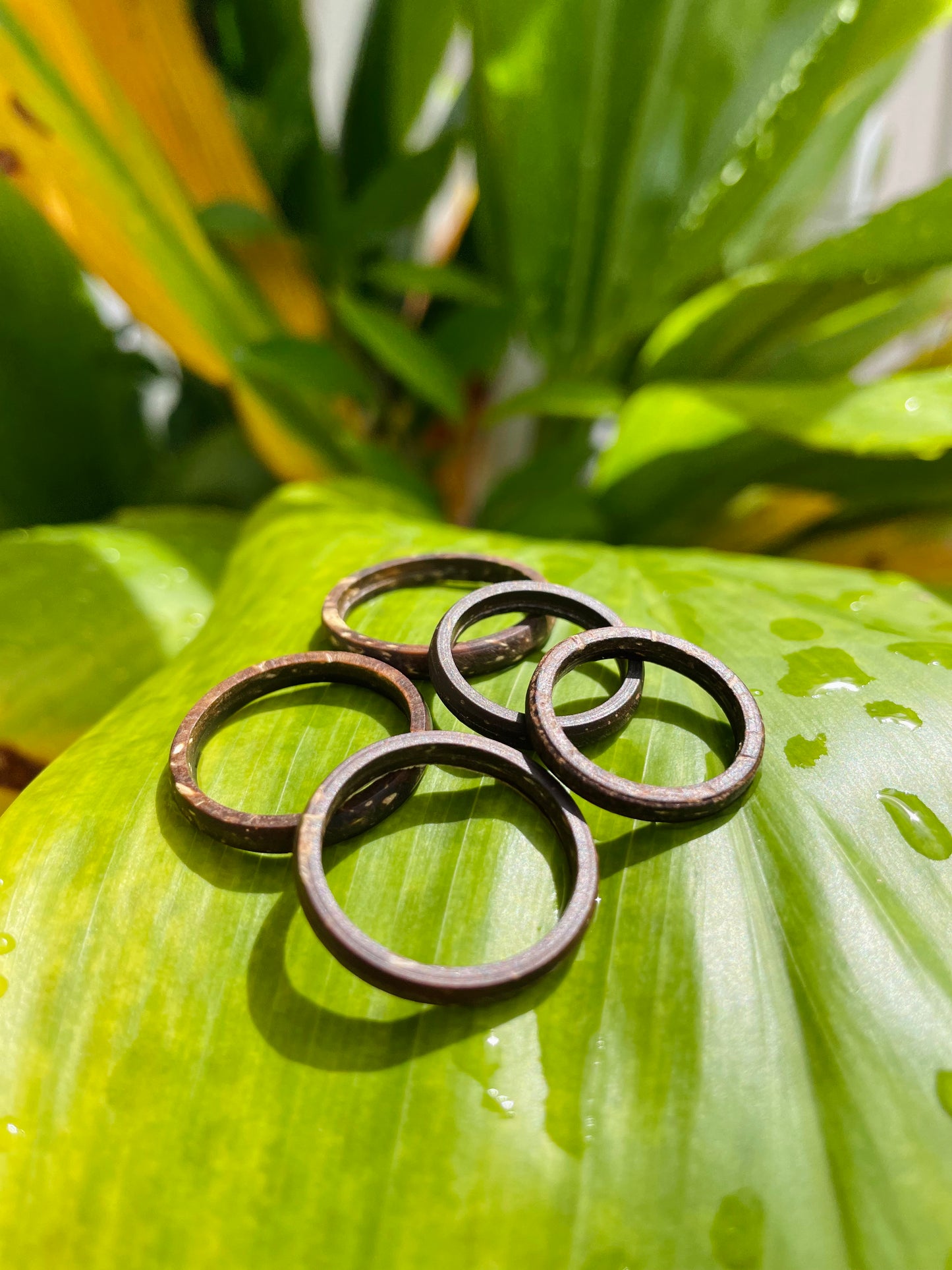 Coconut Shell Ring