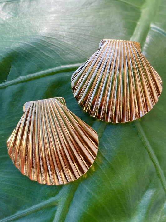 Gold Sea Shell Stud Earrings