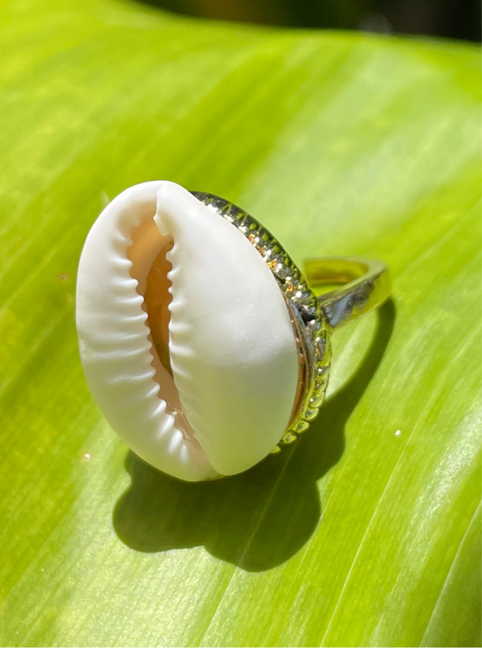 Gold Cowrie Shell Ring