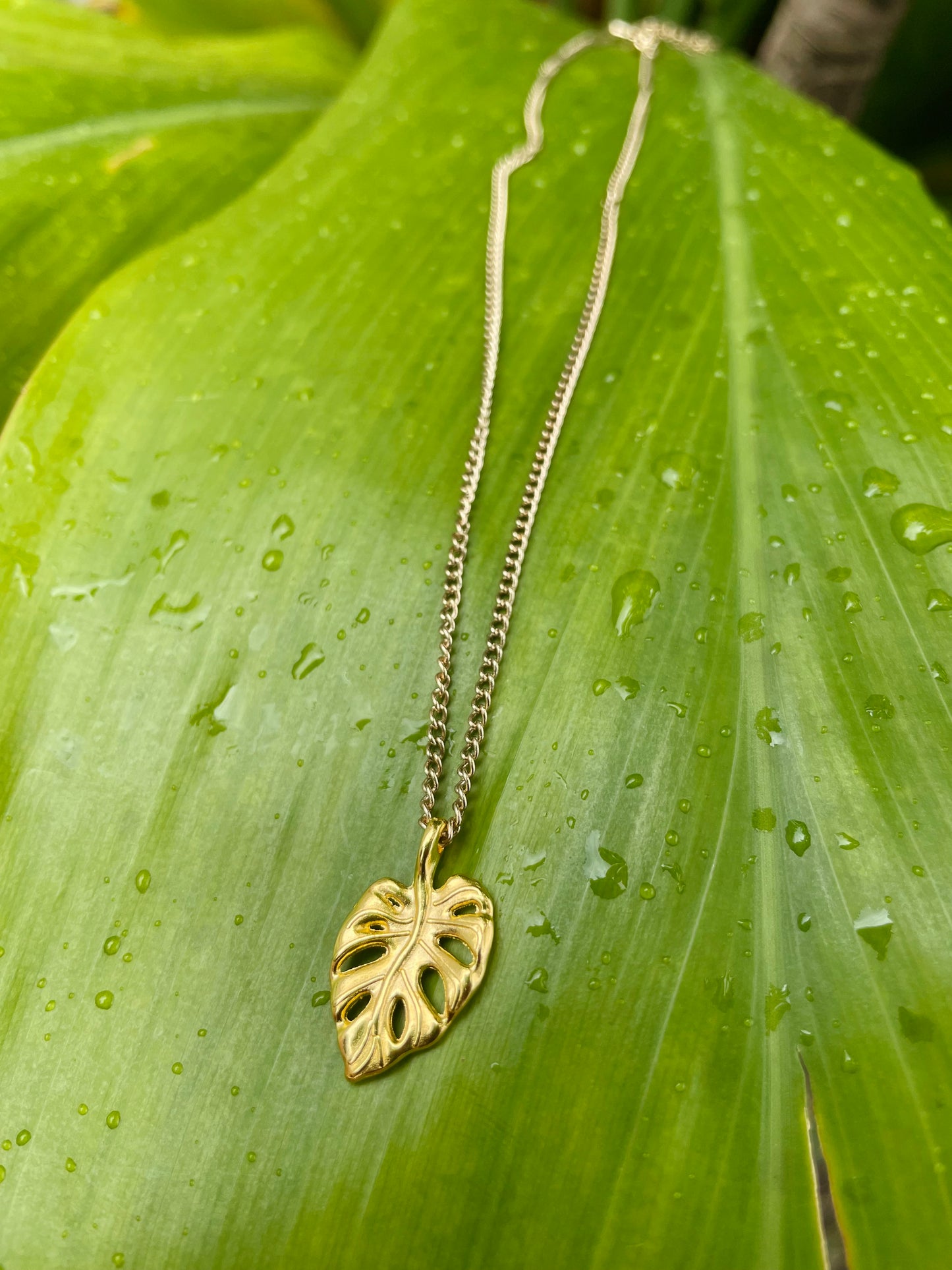 Medium Monstera Necklace