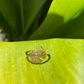 Tiny Monstera Leaf Ring