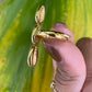 Gold Adjustable Triple Shell Ring