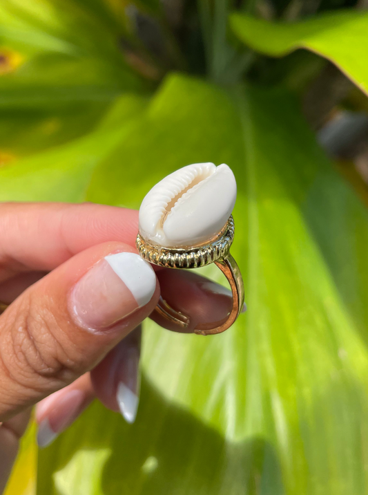 Gold Cowrie Shell Ring