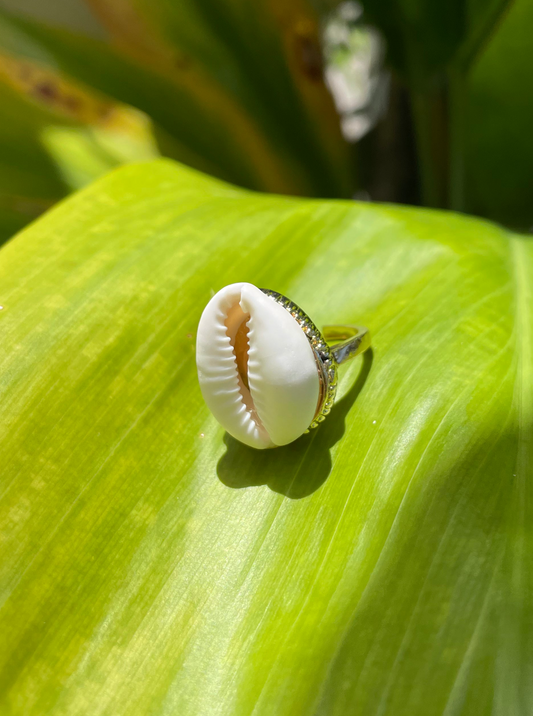 Gold Cowrie Shell Ring